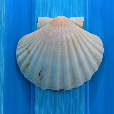 住宿加早餐酒店 海滩之家住宿加早餐旅馆 弗里米尼迪夸尔图