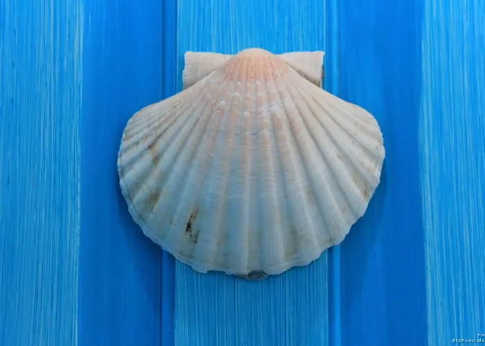 לינה וארוחת בוקר La Casa Sulla פלומיני די קווארטו